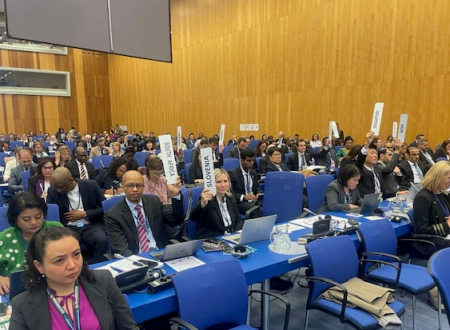 Na zasedanju. Ljudje sedijo na stolih in v iztegnjeni roki držijo tablico z imenom države.