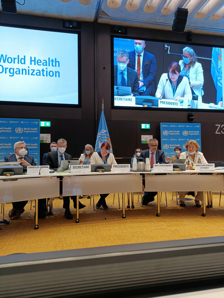 člani na 151. zasedanju Izvršnega odbora Svetovne zdravstvene organizacije