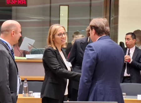 Ministrica za zdravje stoji in se rokuje z drugimi ministri za zdravje