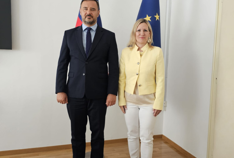 Državna sekretarka z ukrajinskim veleposlanikom o sodelovanju na področju zdravja