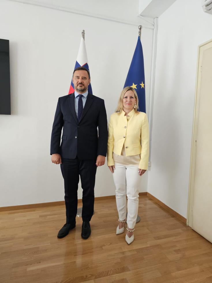 Moški in ženska stojita pred zastavo EU in RS. 