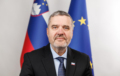 Tone Kajzer 2 (A man wearing a suit and tie standing in front of a flag)