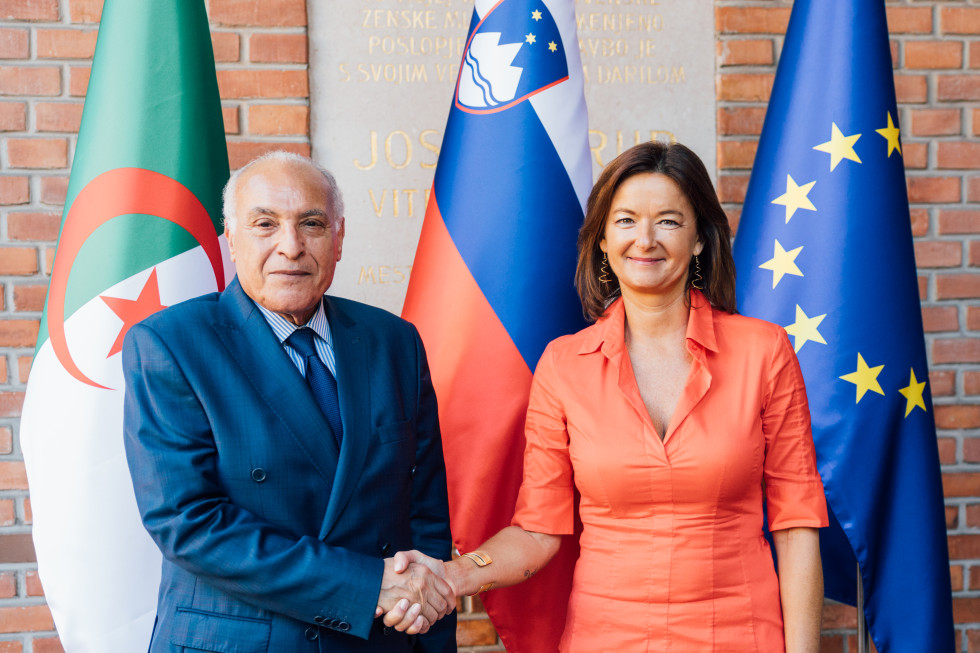ministra rokovanje, v ozadju zastave