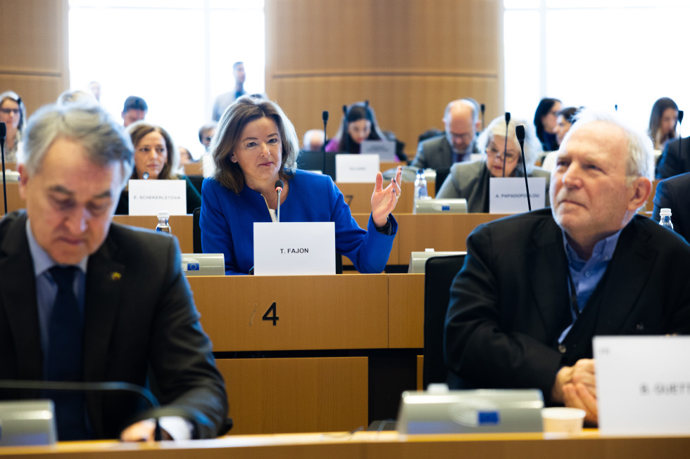 miinstrica na zasedanju Odboru za zunanje zadeve v Evropskem parlamentu (AFET)