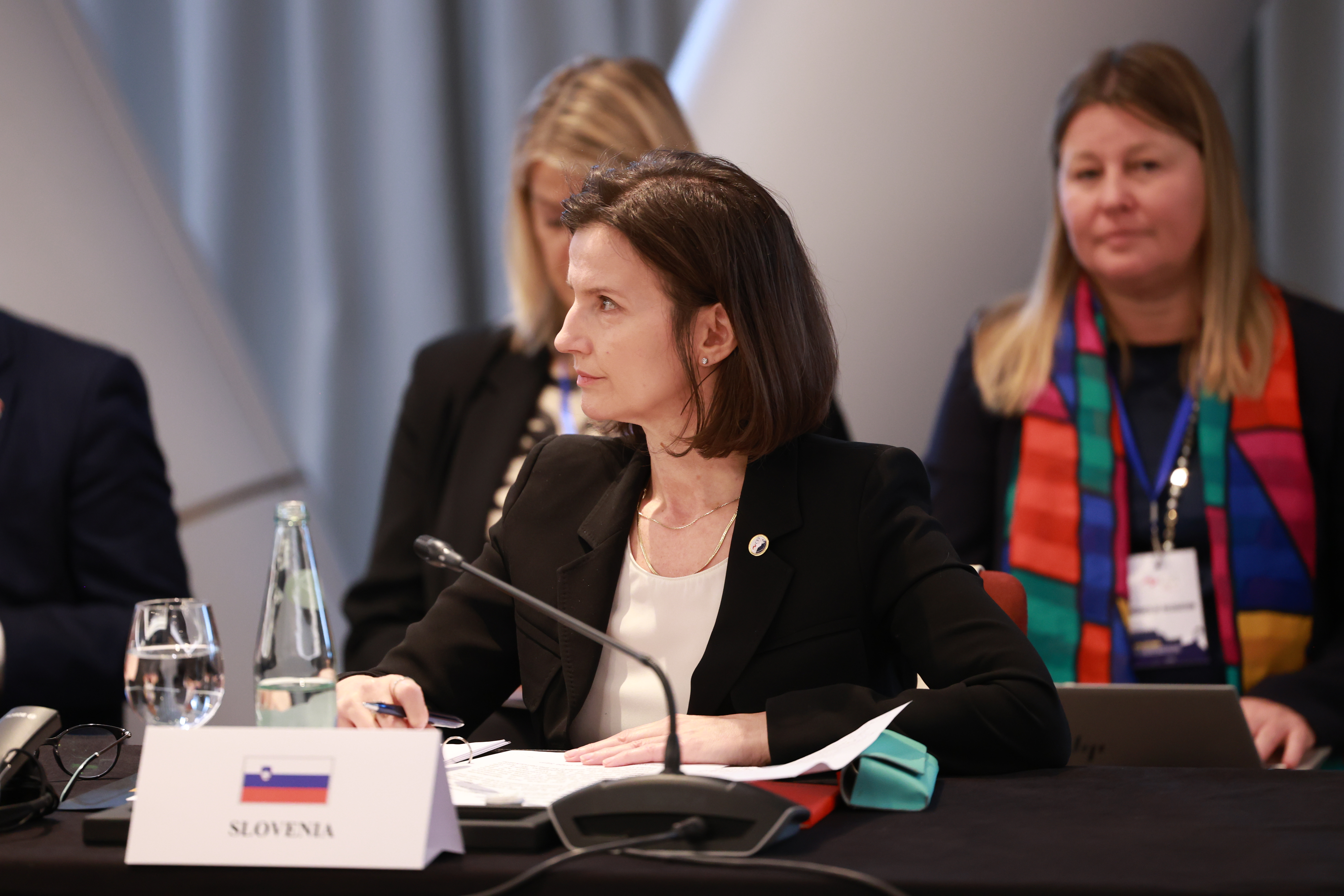 State Secretary Gabrič at the Ministerial Meeting of the Central European Initiative in Tirana