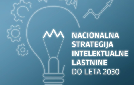 NACIONALNA STRATEGIJA IL SI cover (žarnica na modri podlagi)