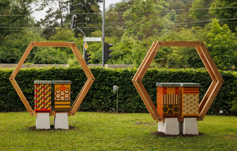 cebele (Beehives)