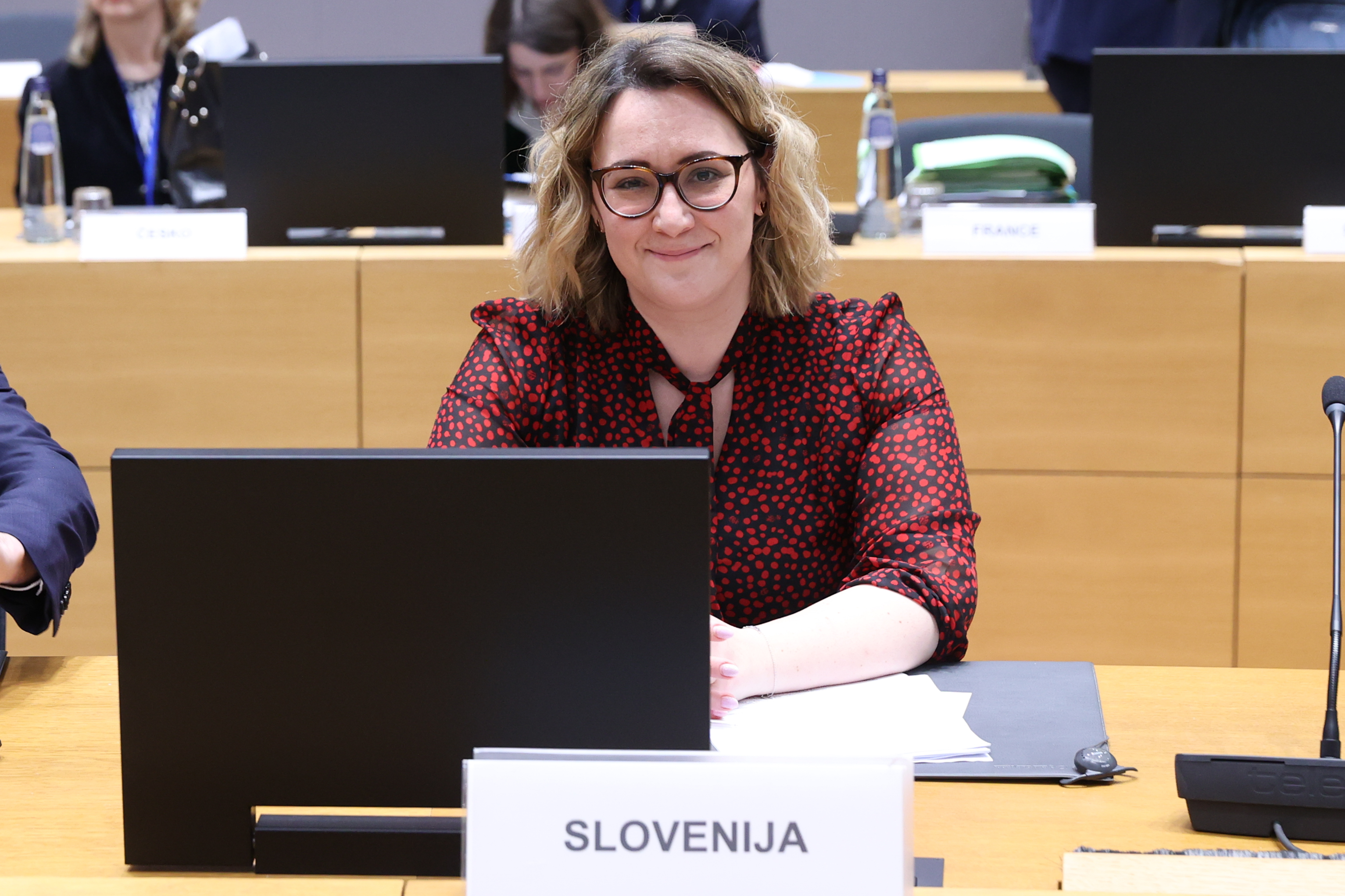 State Secretary Grašič: Significant progress by candidate countries demonstrates that EU enlargement is achievable