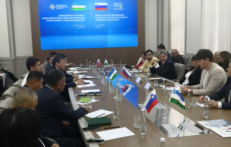 6 (Za dolgo mizo sedita delegaciji Slovenije in Uzbekistana)