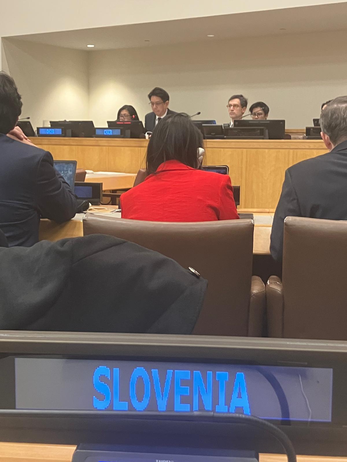 Completion of the Third Committee’s work at the 80th session of the UN General Assembly