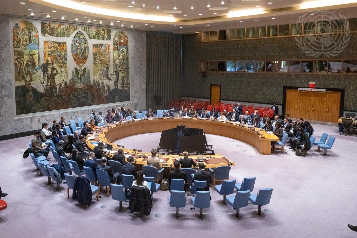 Highlights of Slovenia's activity in the UN Security Council in November 2025