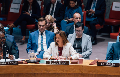 UNGA2025 DAY2 25 (ministrica govori v Varnostnem svetu OZN)