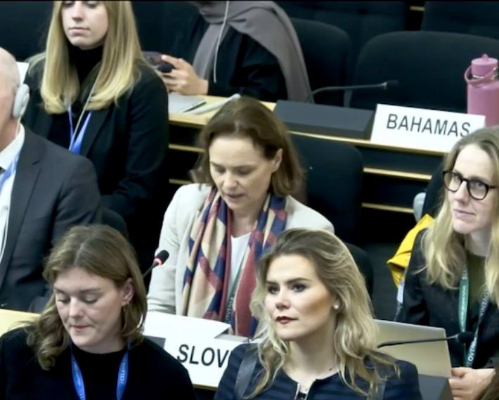 Predstavnica Slovenije govori