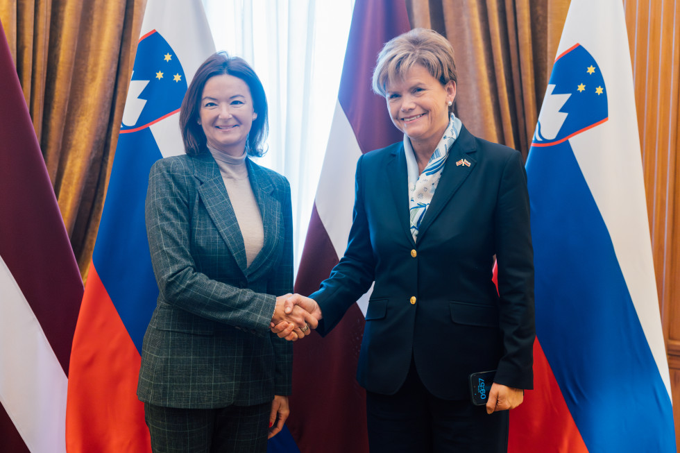 Handshake between the ministers.