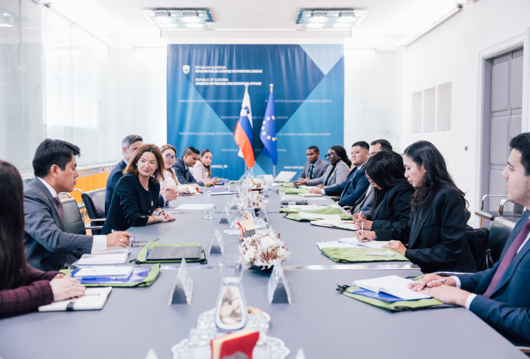 Na prvem globalnem seminarju za diplomate so spoznavali poglede in delo slovenske diplomacije