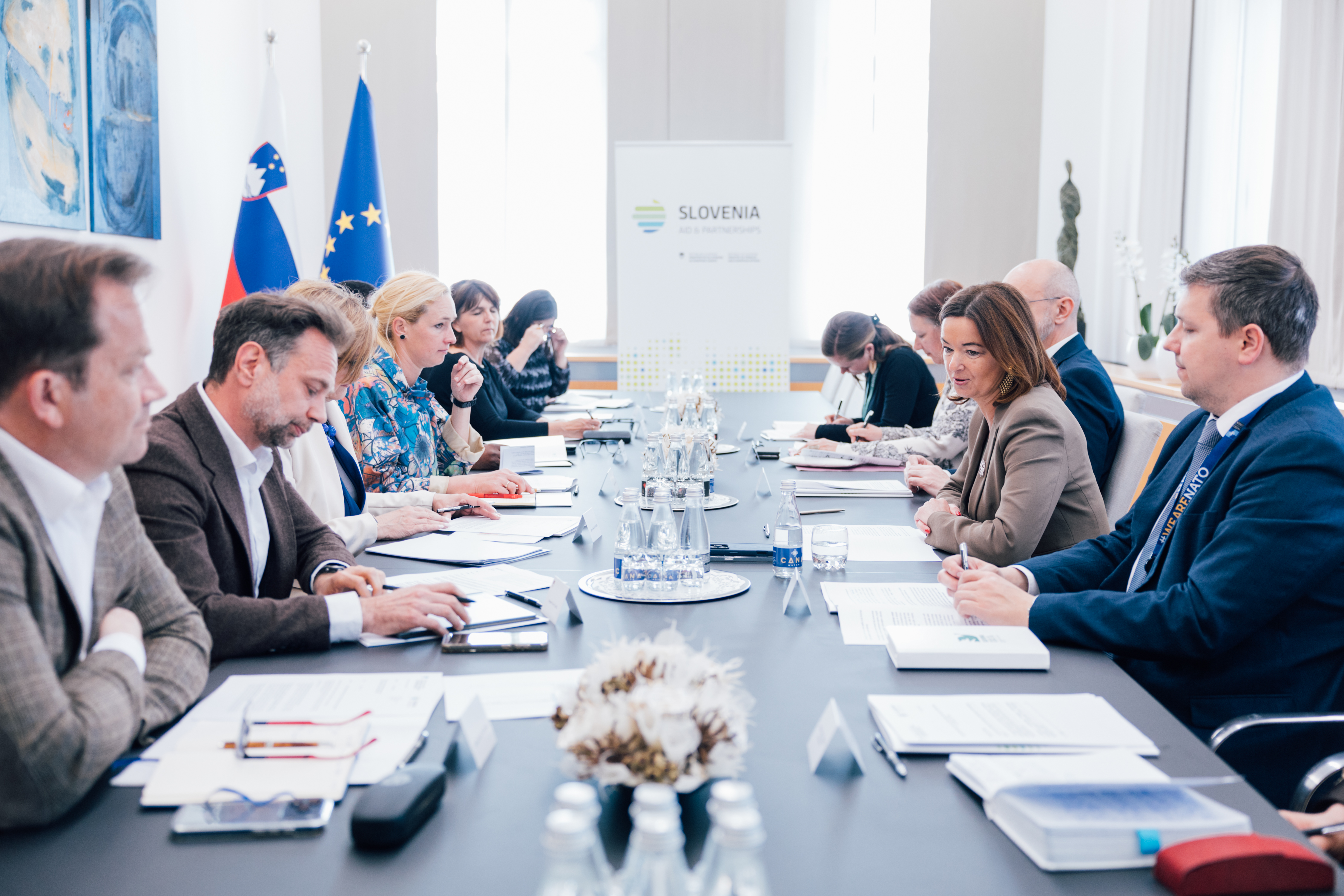 Expert Council: Development cooperation is an important foreign policy tool