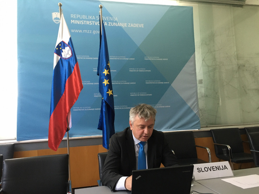 Acting Director General for Economic and Public Diplomacy at the Ministry of Foreign Affairs of the Republic of Slovenia Iztok Grmek