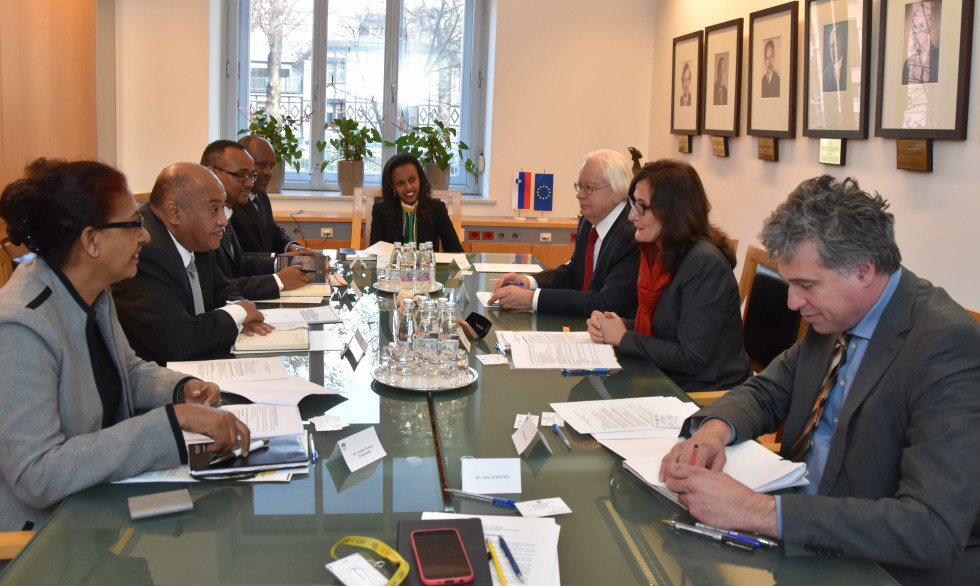 Bilateral political consultations between Slovenia and Ethiopia