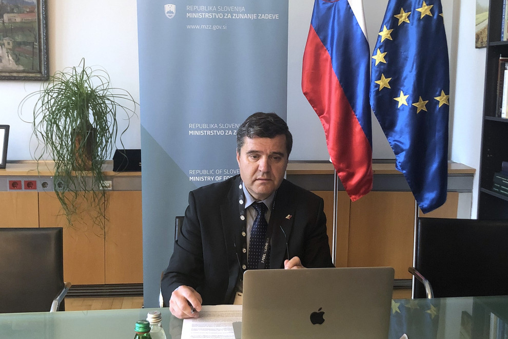 DS Kajzer na avdio-video konferenci za zaslonom