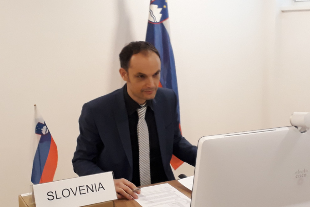 Minister of Foreign Affairs Dr Anže Logar