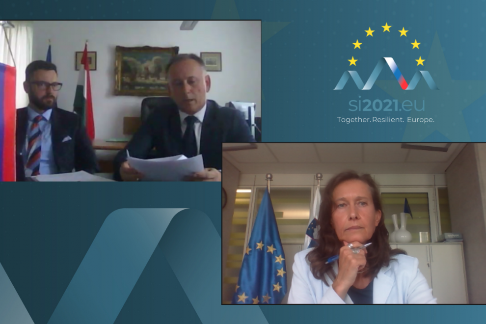 screenshot of the participants, top right logo of the Slovenian Presidency