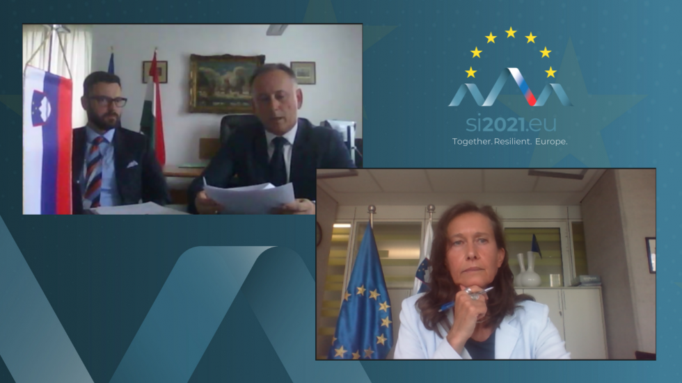 posnetek zaslona z udeležencema, desno zgoraj logotip slovenskega predsedovanja