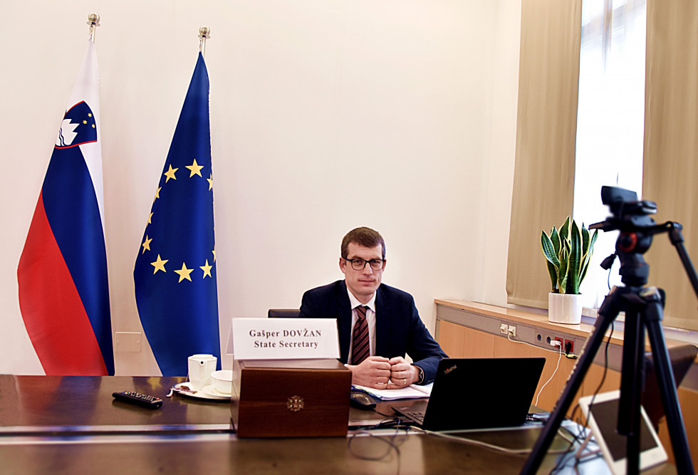 Gašper Dovžan at the virtual meeting