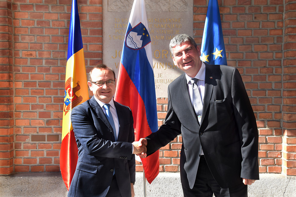 shaking hands with flags behind