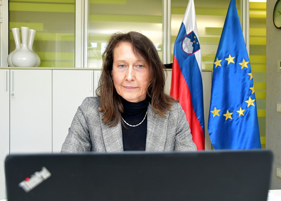 Director General in front of computer with flags behind