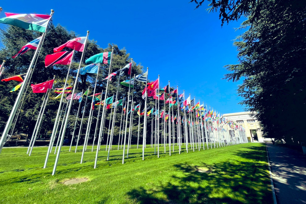 zastave plapolajo na drogu pred sedežem ZN