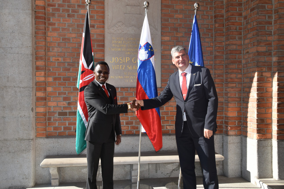 shaking hands with flags behind