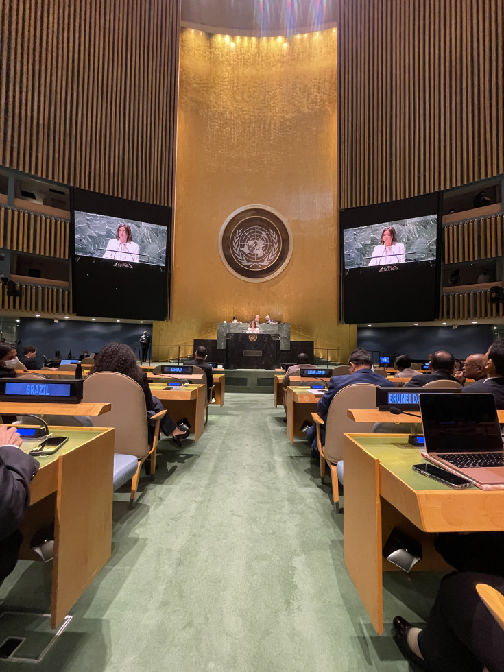Minster Tanja Fajon at the Tenth Review Conference of the Parties to the Treaty on the Non-Proliferation of Nuclear Weapons