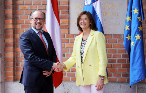 MZZ Avstrije (Foreign ministers of Slovenia and Austria shake hands)