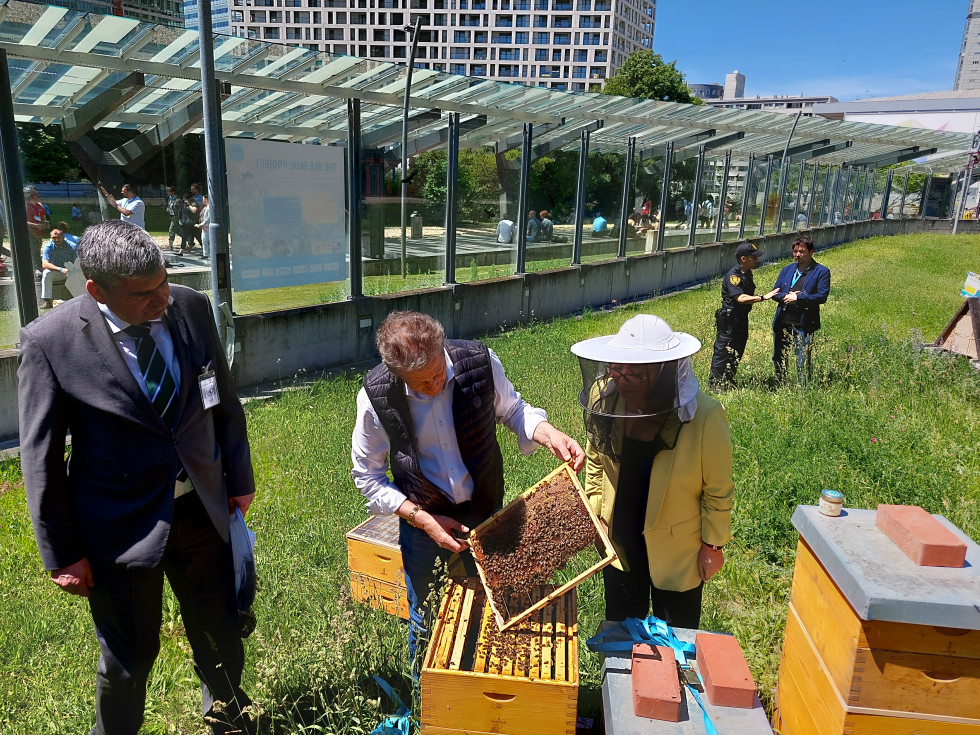 državni sekretar Raščan opazuje čebelarja, ki dela v panju