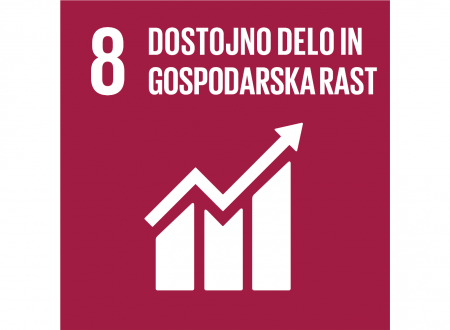 8. cilj: dostojno delo in gospodarska rast