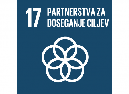 17. cilj: partnerstva za doseganje ciljev