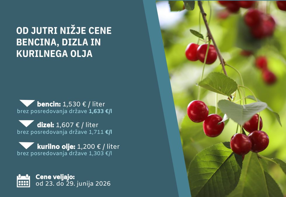 cene naftnih derivatov v grafiki