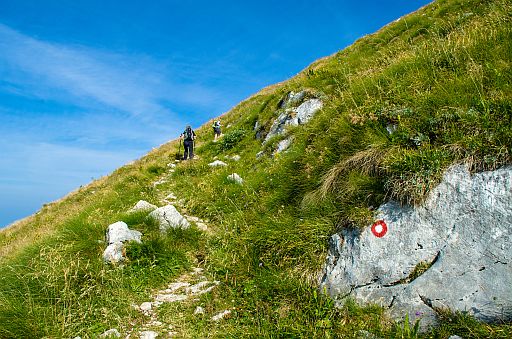 30 Peaks for 30 Years - Vimarsana News