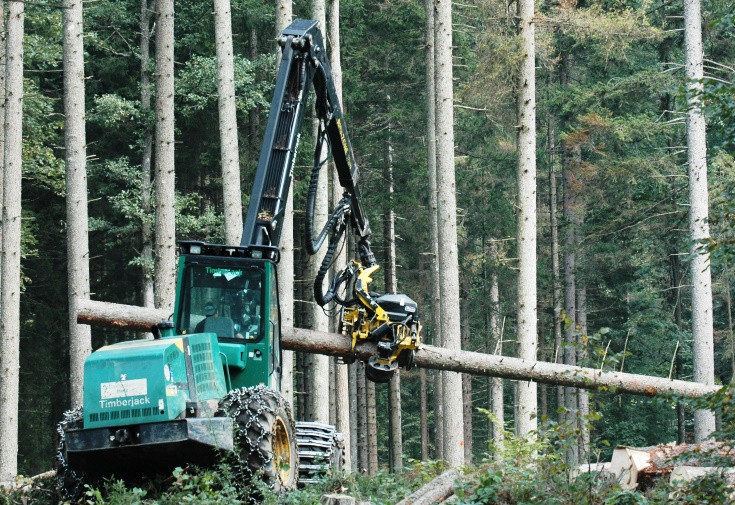 Stroj  zelene barve za podiranje in razrez dreves v delovni roki drži deblo smreke in ga obrezuje. V ozadju več smrek, iglasti gozd.