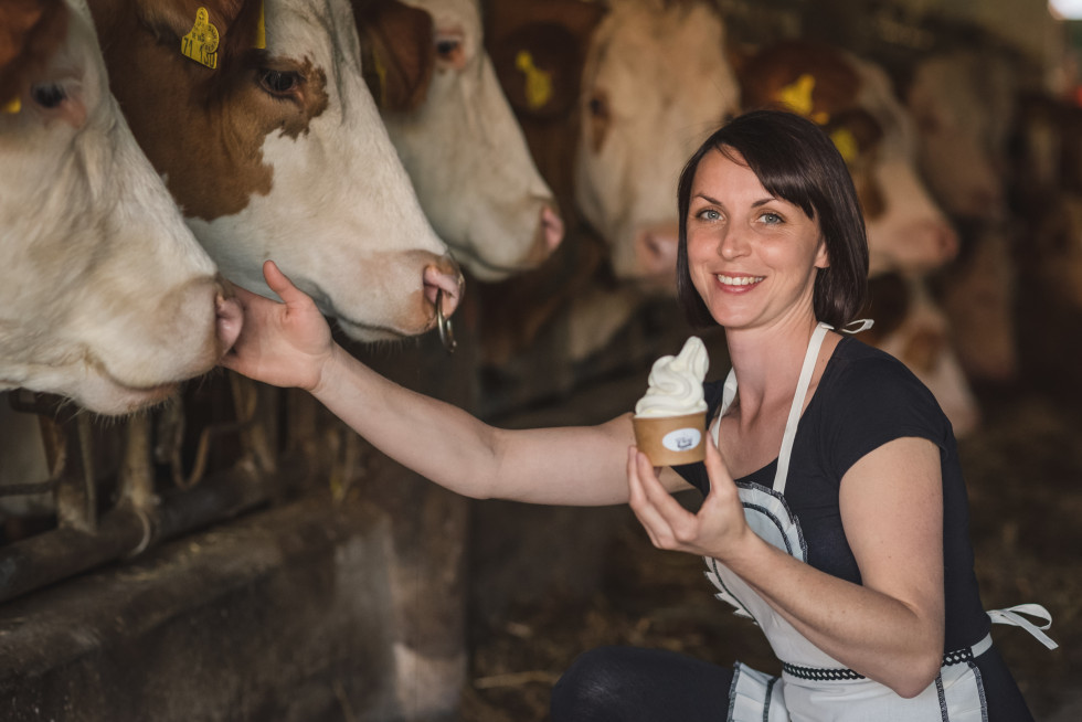 Na desni strani fotografije z nasmehom stoji mlado dekle, v roki drži posodico s sladoledom, poleg nje, na levi strani, pa so krave (predvidevamo, da gre za molznice), ki dajejo mleko za domači sladoled. 