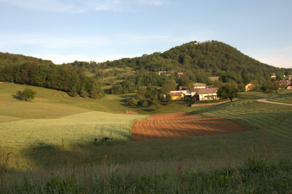 Kmetijske površine