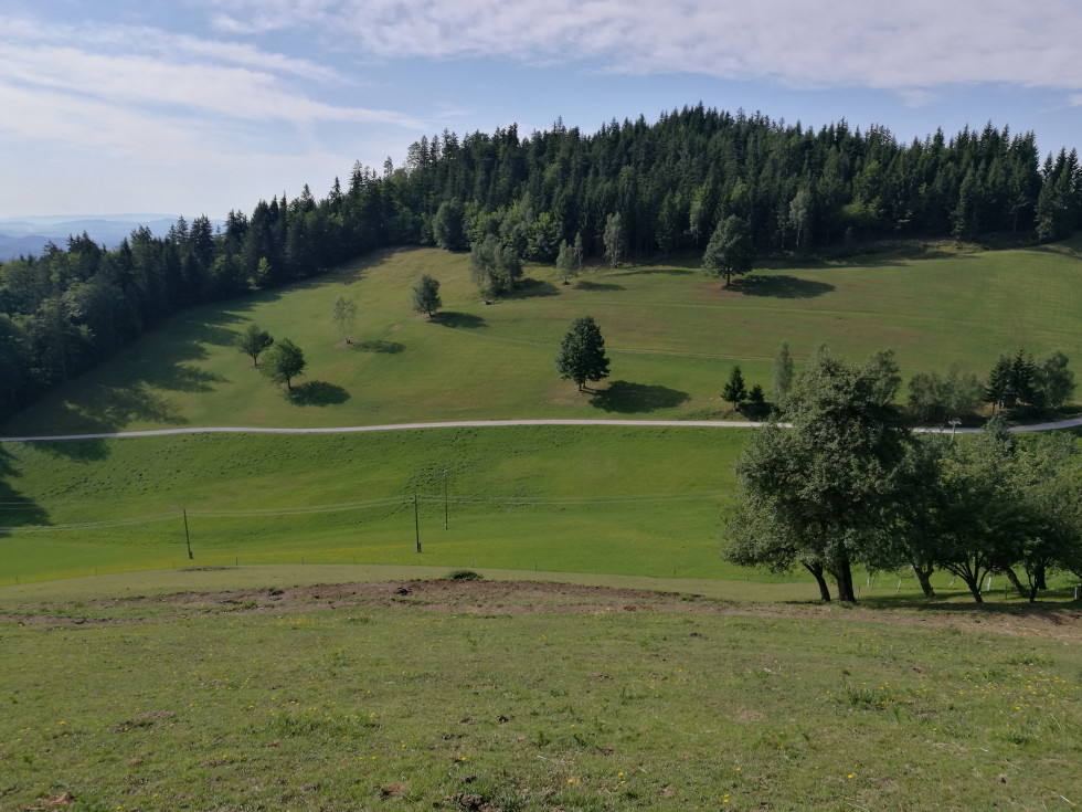 Pokošeni hriboviti travniki