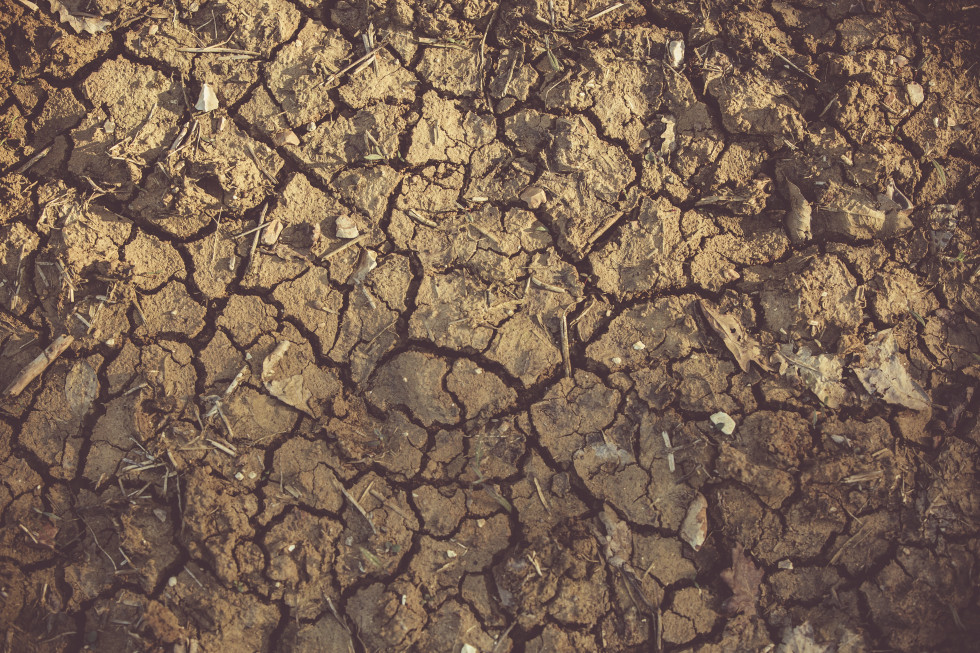Sušna tla z razpokami