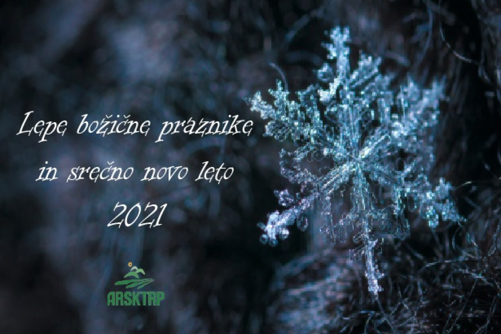 Voščilo: Lepe božične praznike in srečno novo leto 2021!
