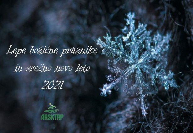 Voščilo: Lepe božične praznike in srečno novo leto 2021!