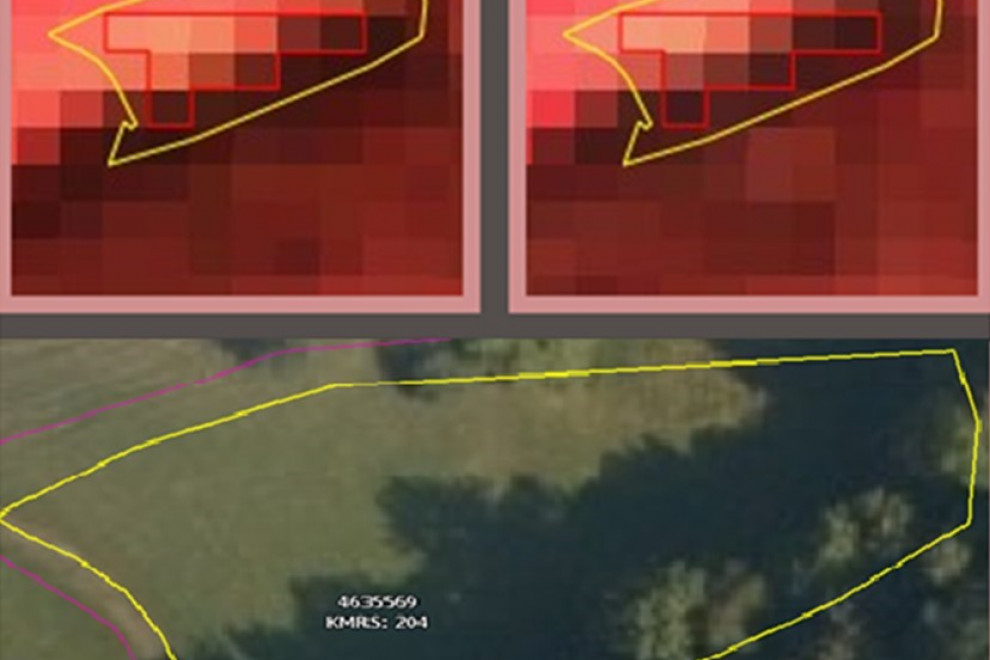 Primer sence dreves na ortofoto posnetku in v lažni barvni podobi.