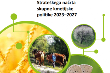 Oddaja zbirne vloge 2023