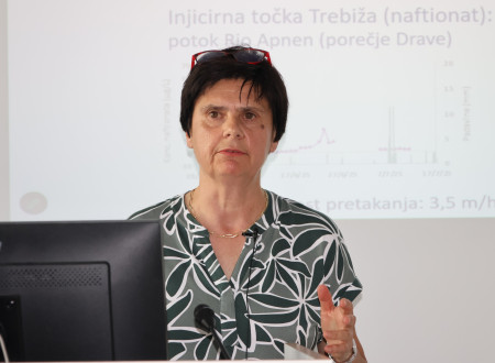 Govorka predstavlja vsebino udeležencem strokovnega dogodka.