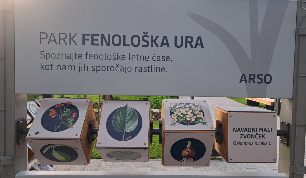 Obeležje ob vhodu v park, tabla z napisom: Park fenološka ura. Spoznajte fenološke letne čase, kot nam jih sporočajo rastline.
