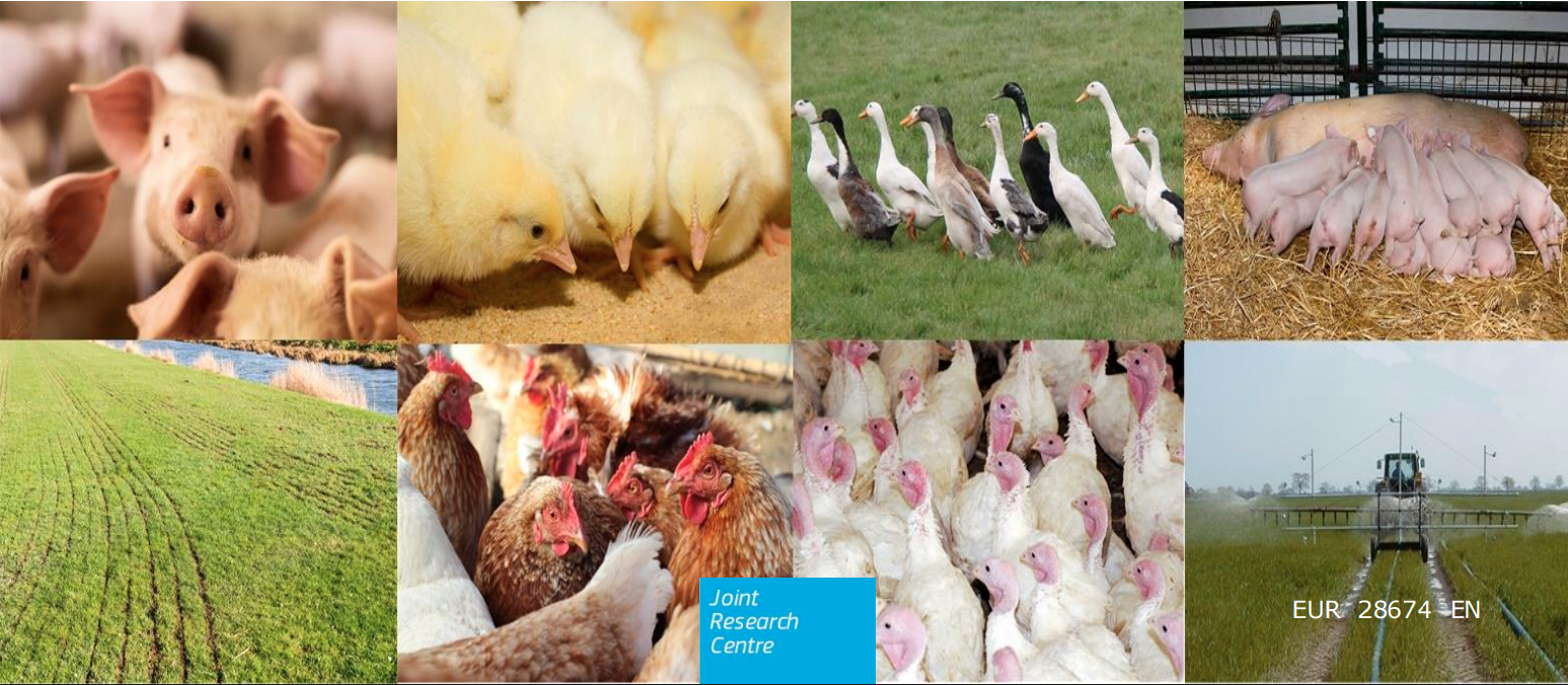 Rejo Farm Upravljavci intenzivnih farm morajo spremljati vplive reje na okolje ...